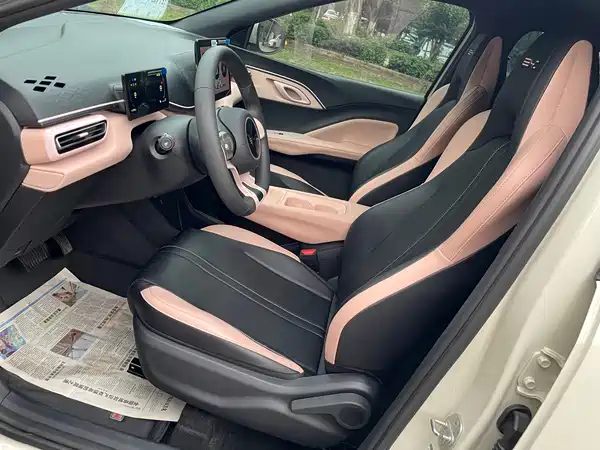 BYD Seagull 2024