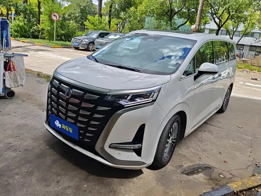 Denza D9 2023 — фото 1