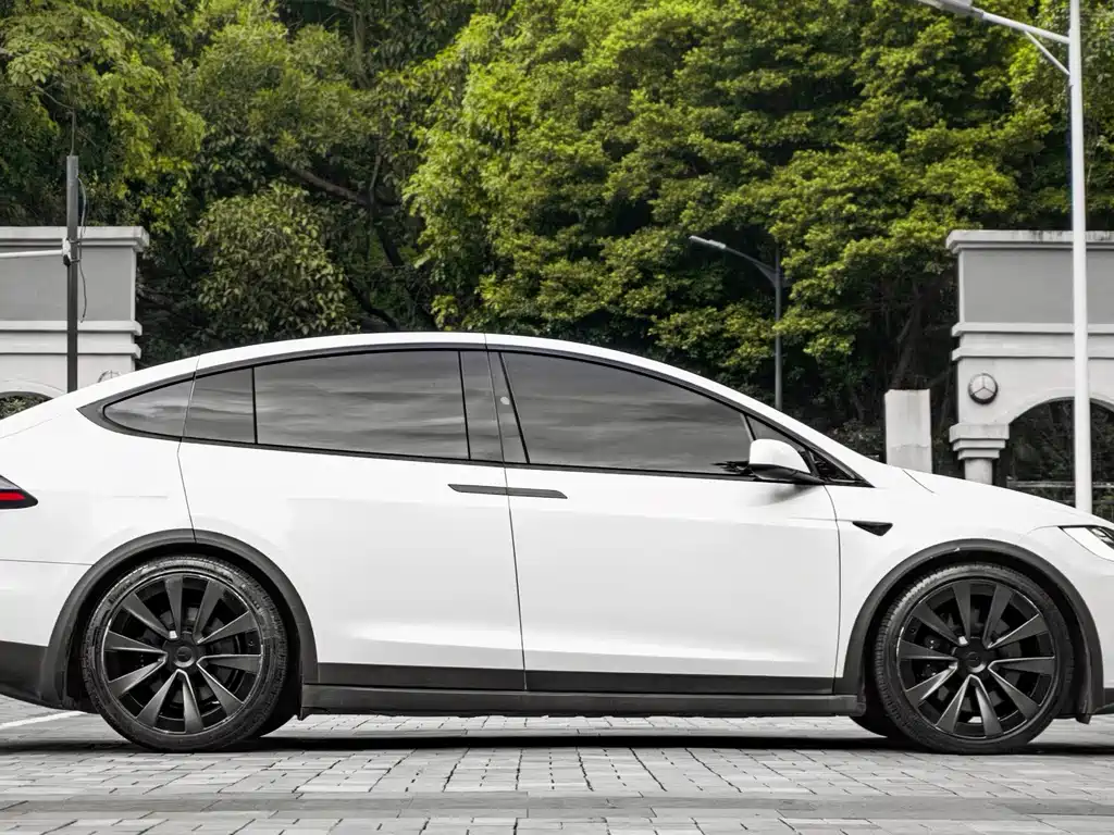 Tesla Model X 2023 — фото 9