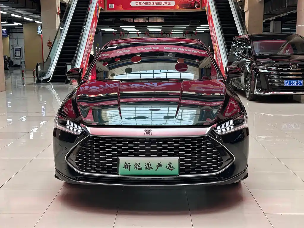 BYD Qin PLUS 2024 — фото 2