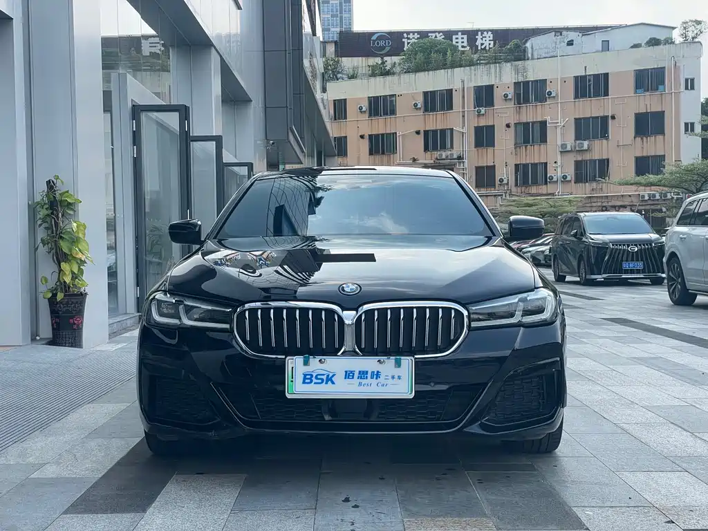 BMW 5 Series New Energy 2023