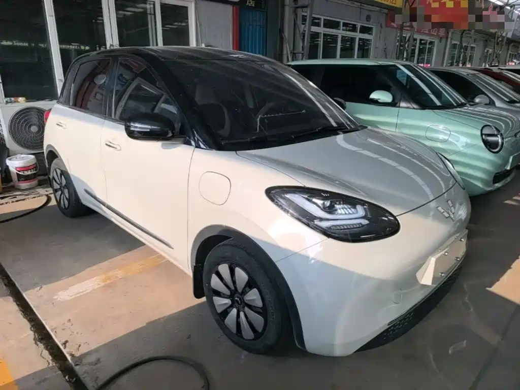Wuling Bingo 2024