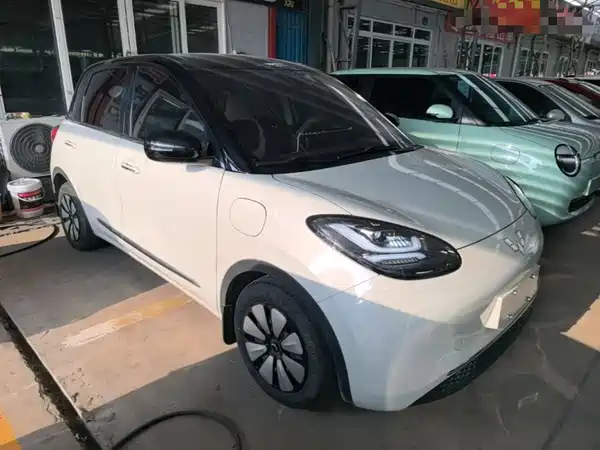 Wuling Bingo 2024