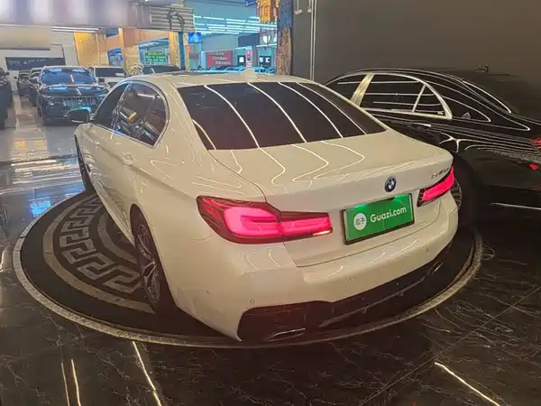 BMW 5 Series New Energy 2022