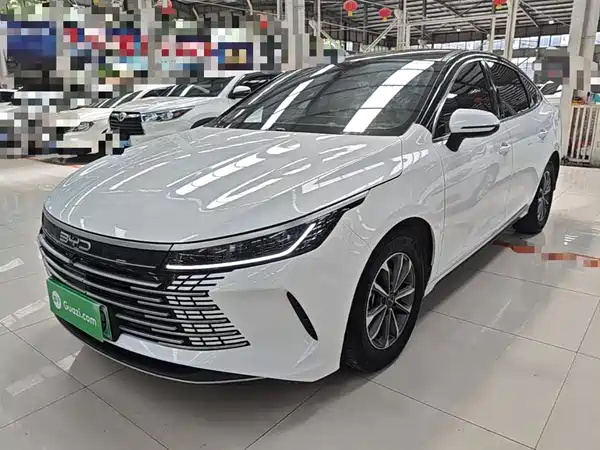 BYD Destroyer 05 2024