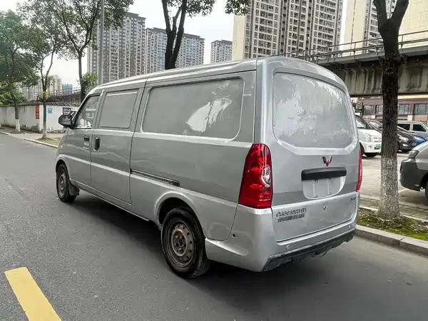 Wuling EV50 2020