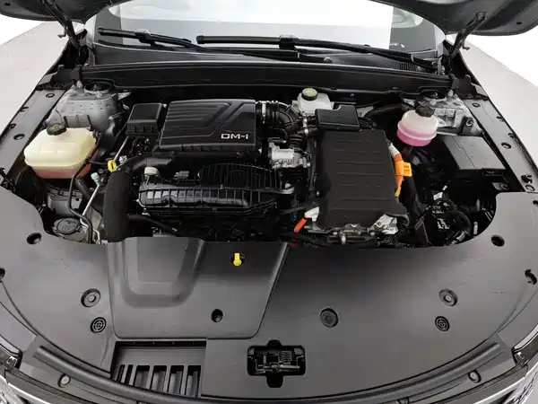 BYD Destroyer 05 2024