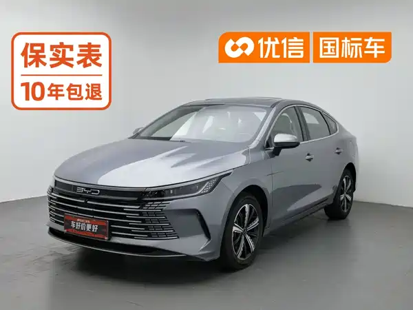BYD Destroyer 05 2024