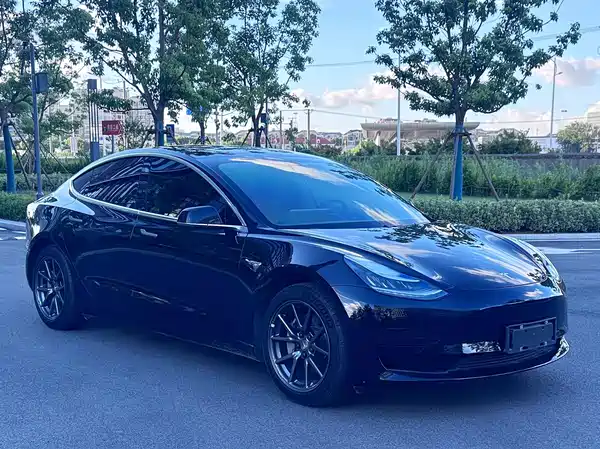 Tesla Model 3 2020