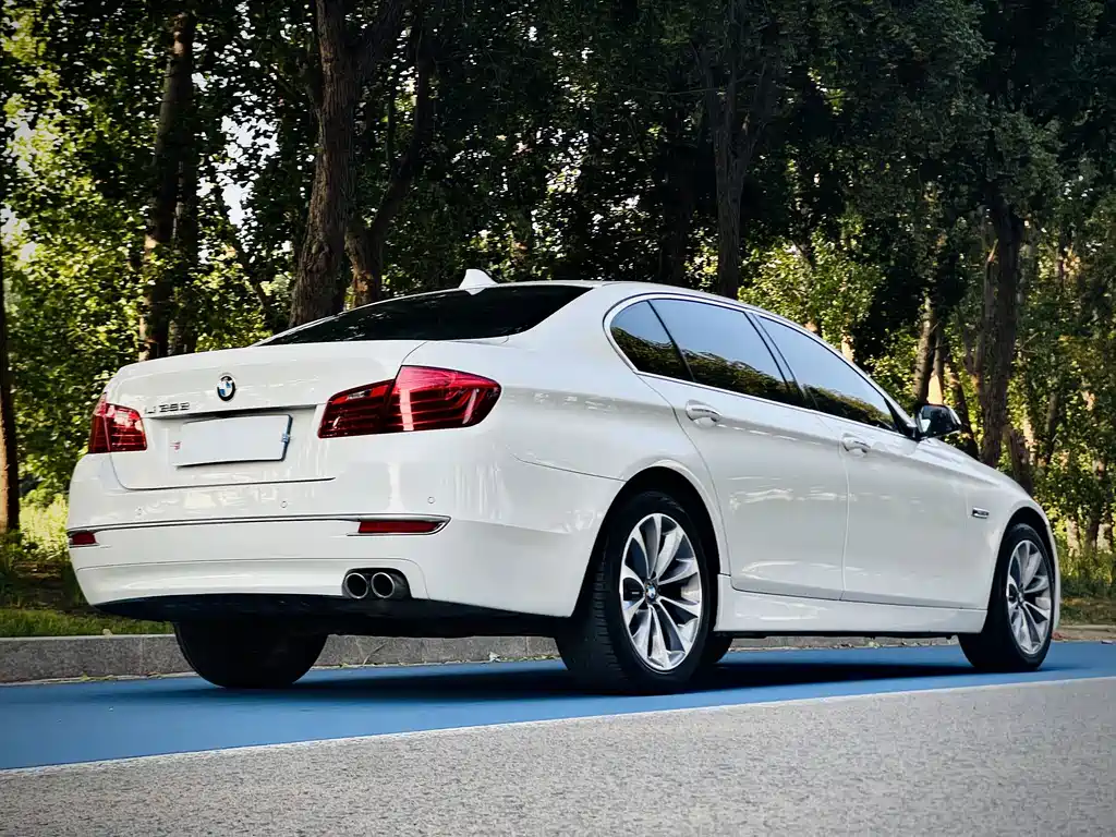 BMW 5 Series 2014