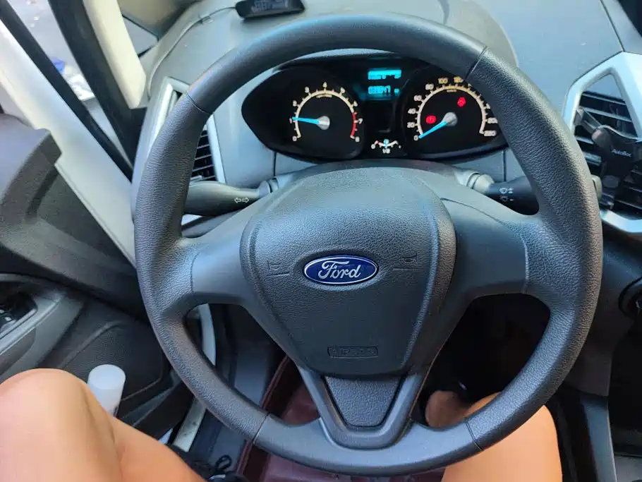 Ford EcoSport 2015 — фото 15