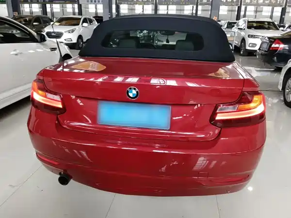 BMW 2 Series 2016