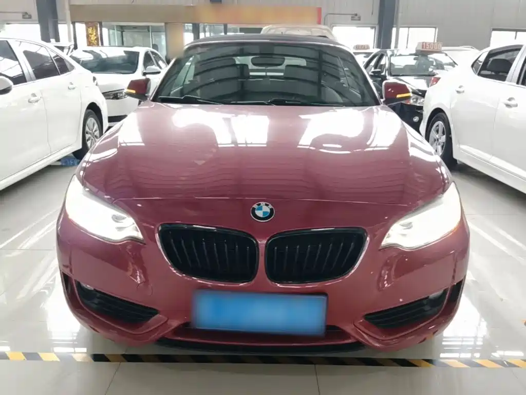 BMW 2 Series 2016