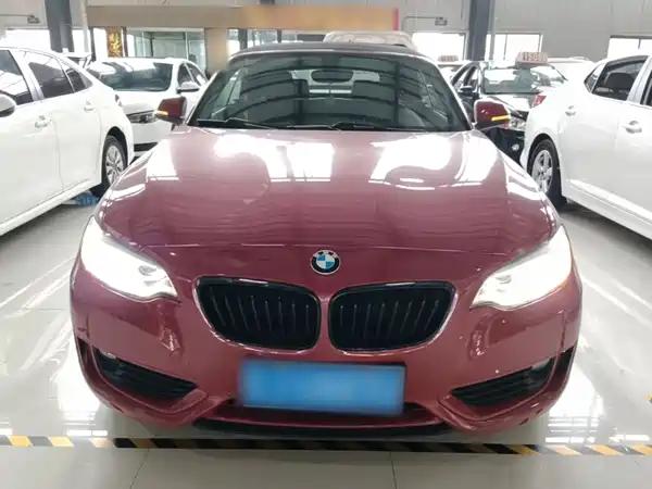 BMW 2 Series 2016