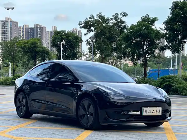 Tesla Model 3 2021