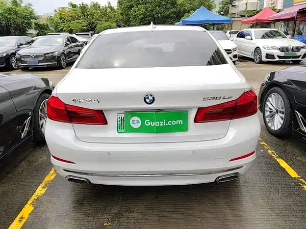 BMW 5 Series New Energy 2020