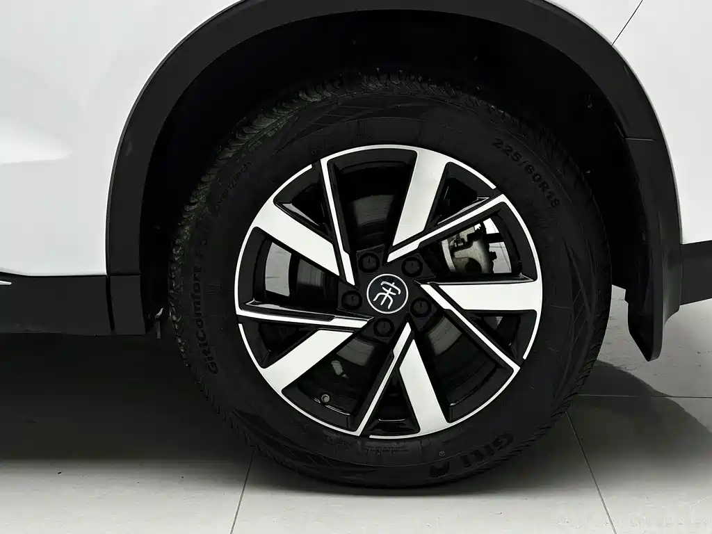 BYD Song Pro New Energy 2024 — фото 13
