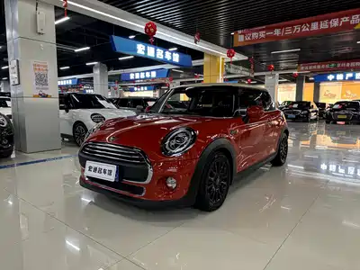 MINI MINI 2019