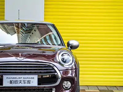 MINI MINI 2020