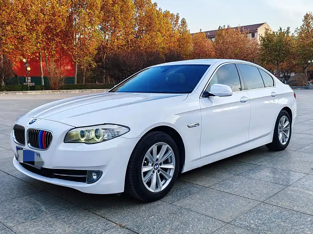 BMW 5 Series 2013 — фото 6
