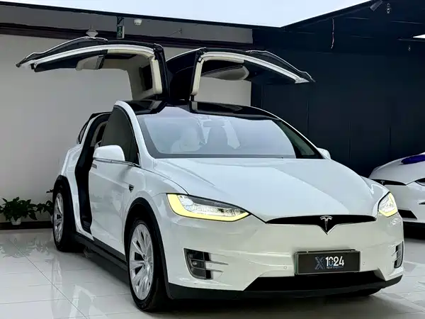 Tesla Model X 2018