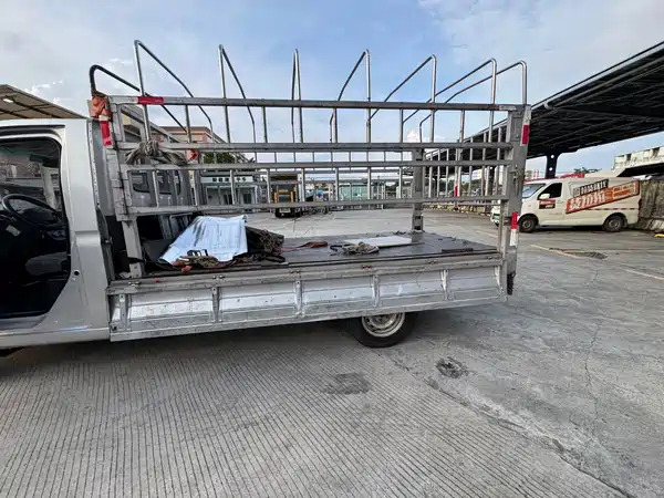 Farizon F1E 2024