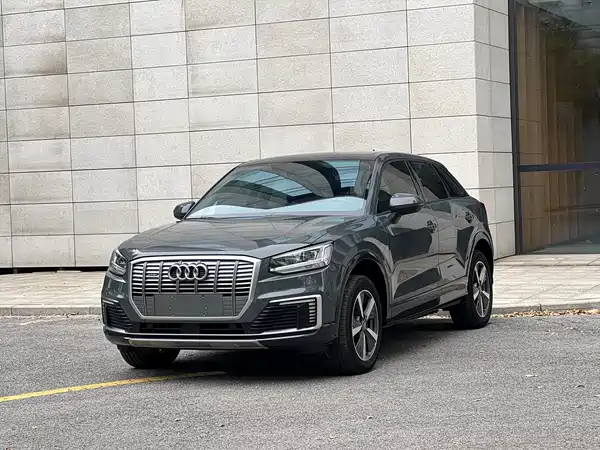 Audi Q2L E-Tron 2019