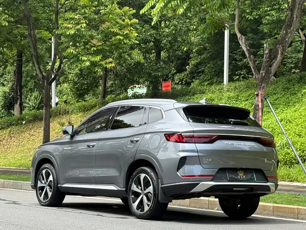 BYD PLUS New Energy 2022 — фото 4