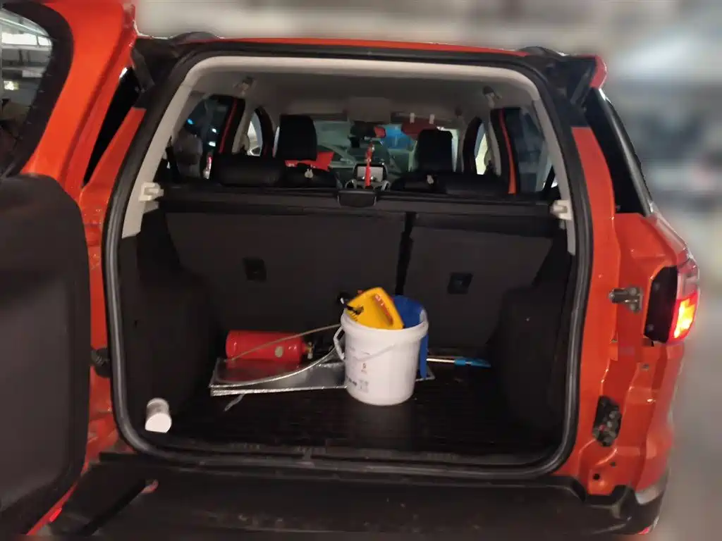 Ford Ecosport 2016 — фото 15