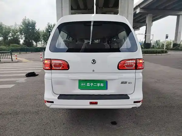 Dongfeng Lingzhi 2019