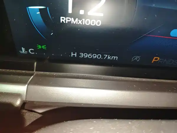 Ford Escort 2021