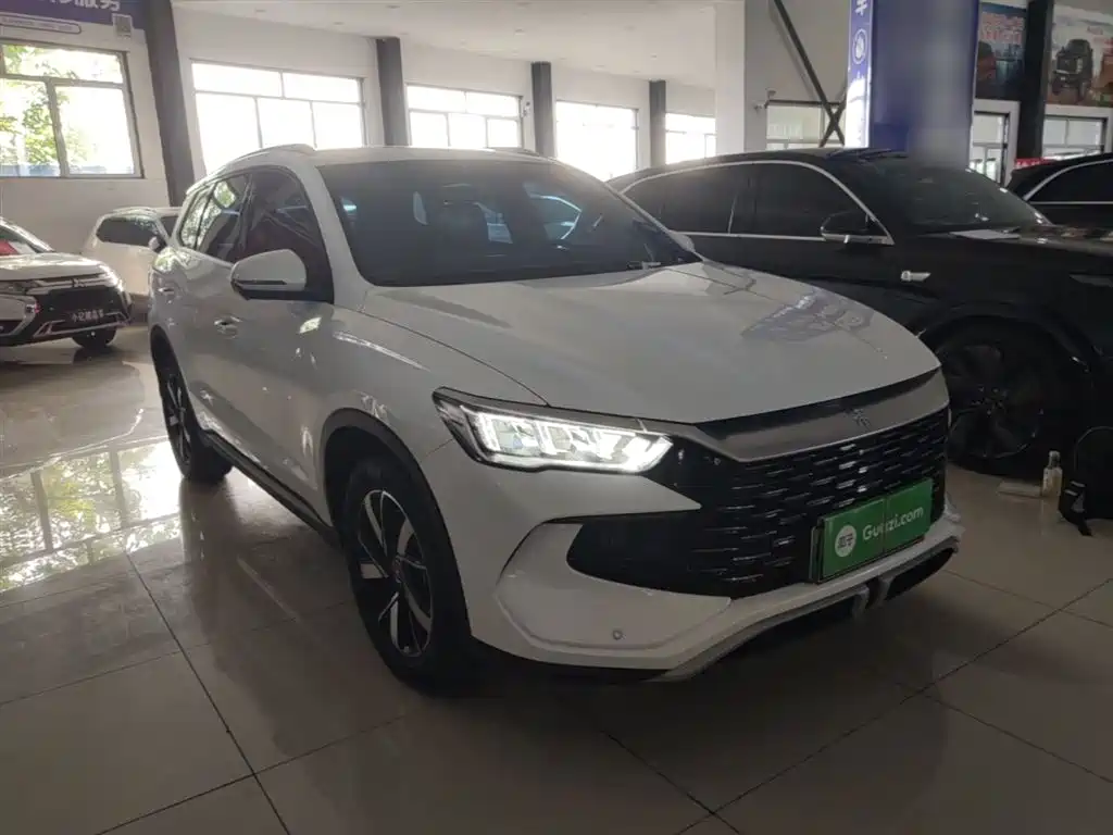 BYD Pro New Energy 2024 — фото 4