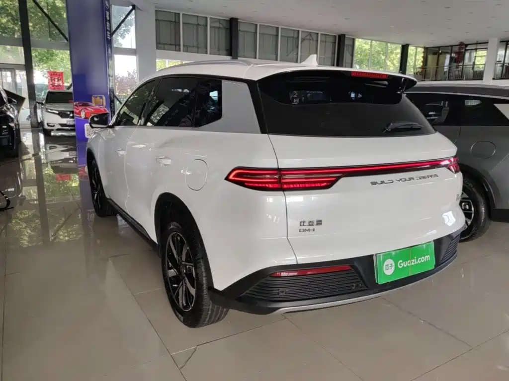 BYD Pro New Energy 2024 — фото 5