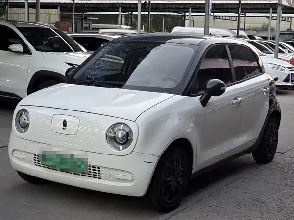 Ora Black Cat 2021