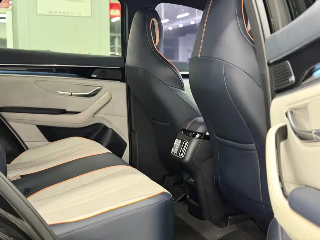 BYD PLUS New Energy 2021 — фото 10