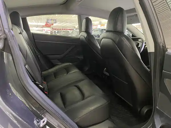 Tesla Model 3 2019