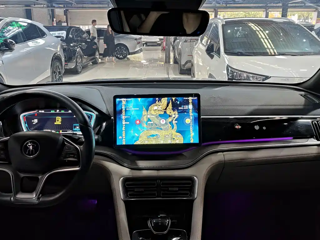 BYD PLUS New Energy 2022 — фото 12