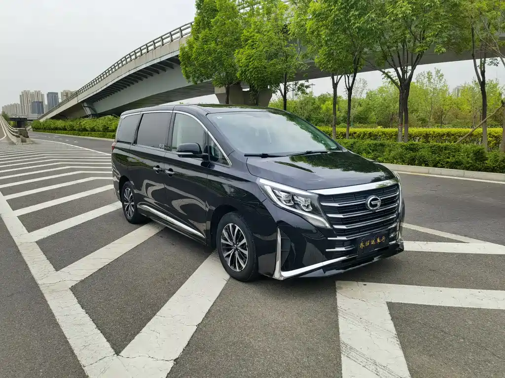 GAC Motor Trumpchi M8 2024 — фото 3