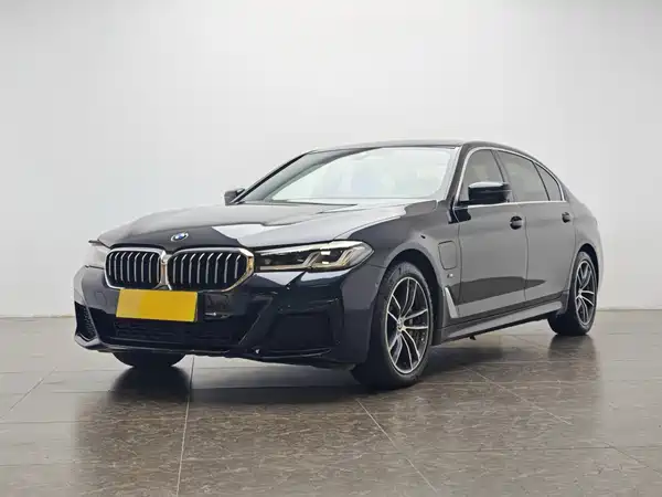 BMW 5 Series New Energy 2021