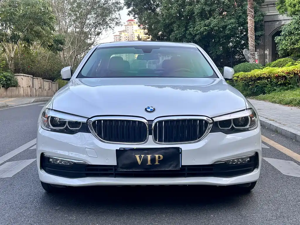 BMW 5 Series 2017 — фото 2
