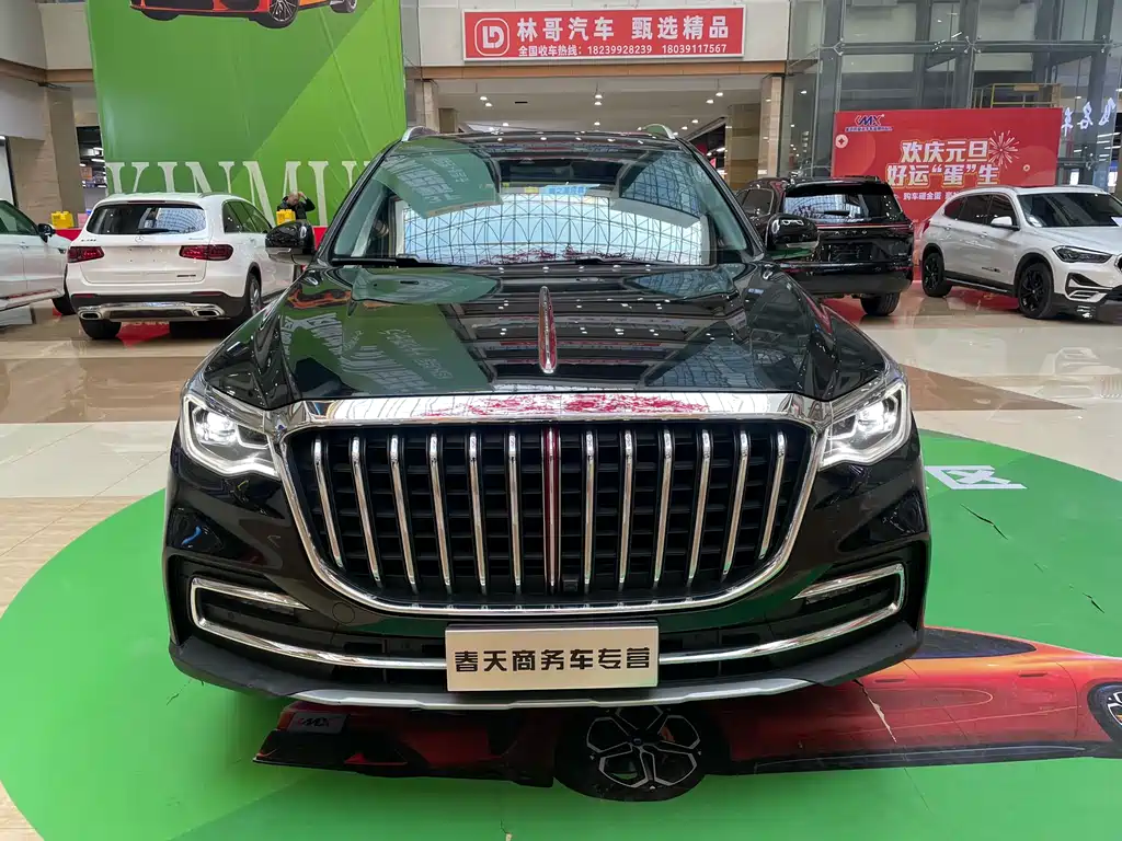 Hongqi HS7 2023 — фото 2