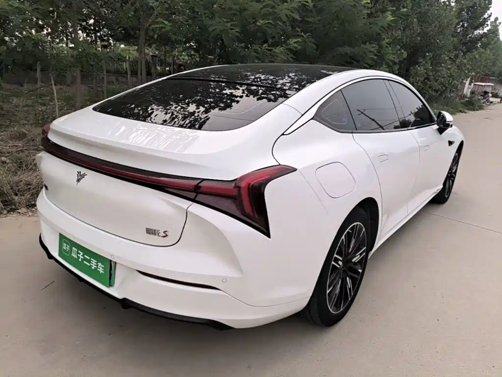 Neta S 2023