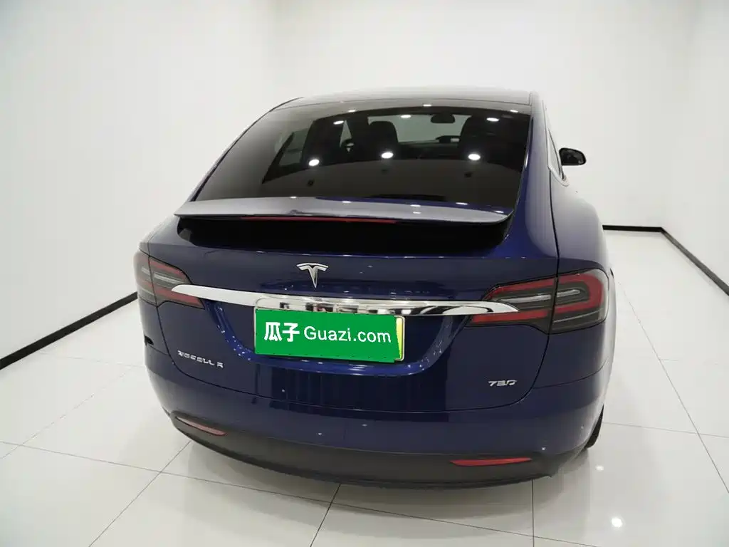 Tesla Model X 2019