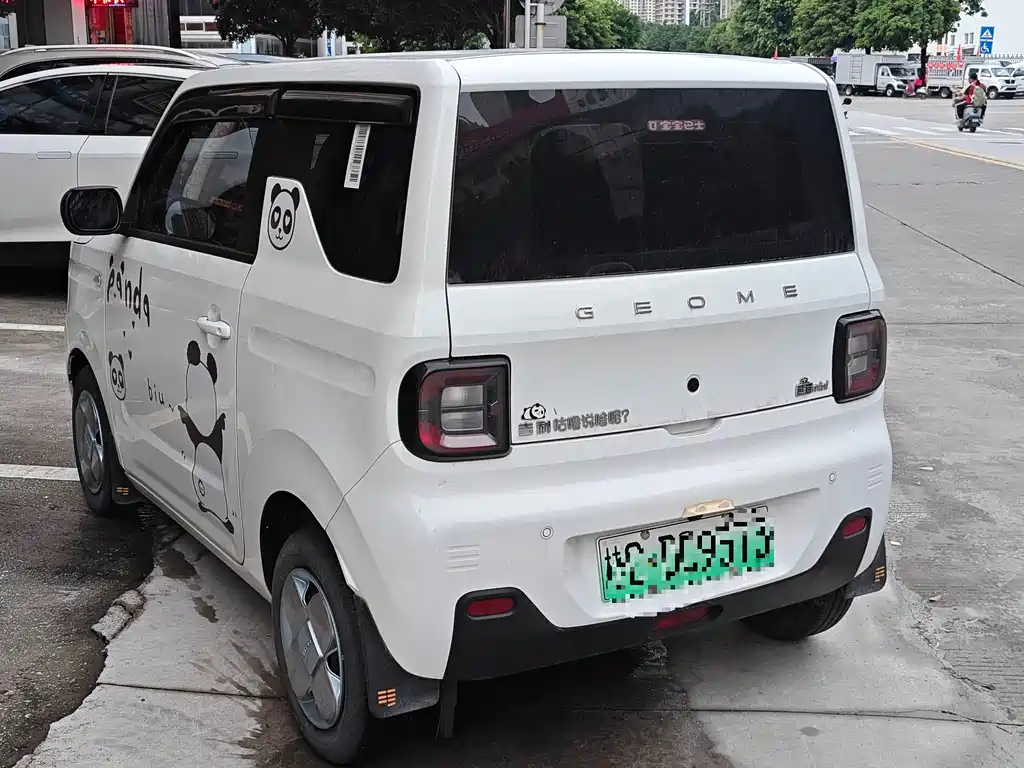 Galaxy Panda 2024