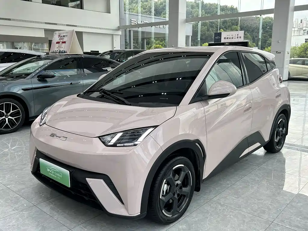 BYD Seagull 2024