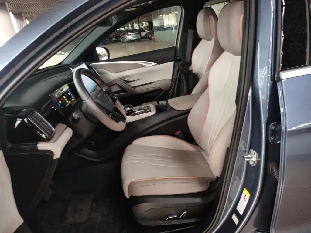 BYD Song Pro New Energy 2024 — фото 11