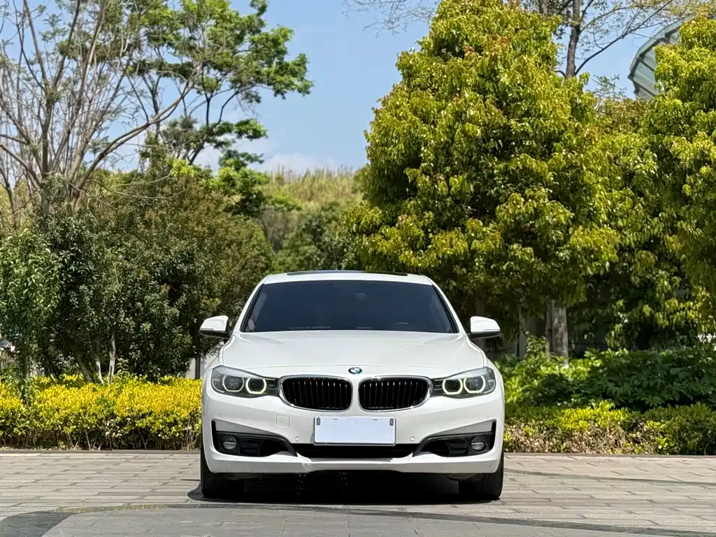 BMW 3 Series GT 2017 — фото 2