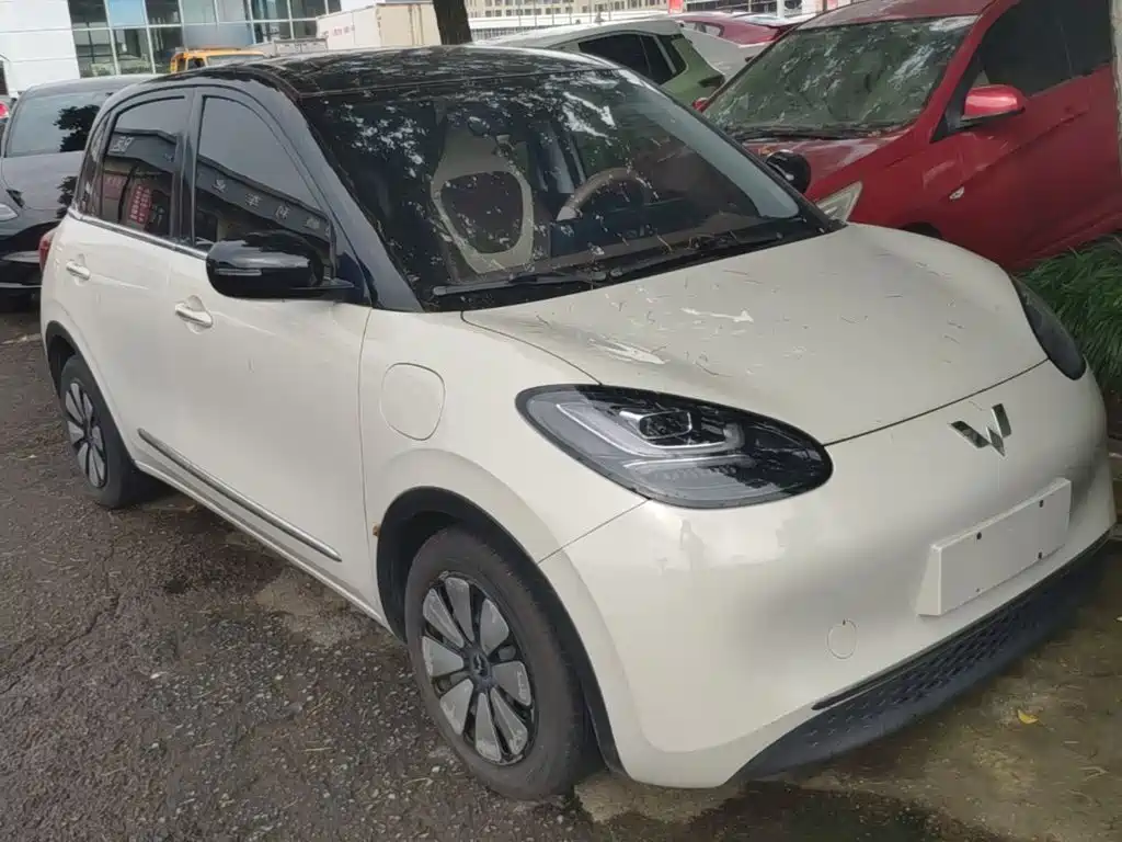 Wuling Bingo 2024
