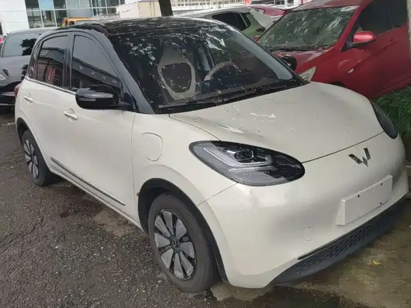 Wuling Bingo 2024