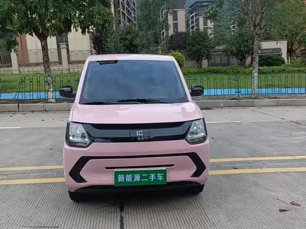 Dongfeng Scenery MINIEV 2022